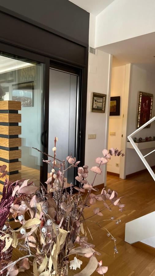 Atico De Diseno Con Terraza En El Centro De Olot Lejlighed Eksteriør billede